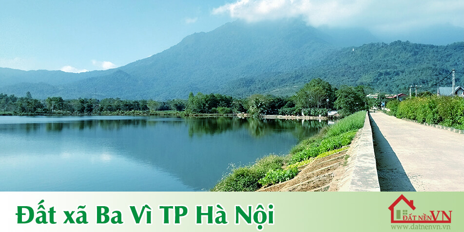 Dat Ba Vi TP Ha Noi at