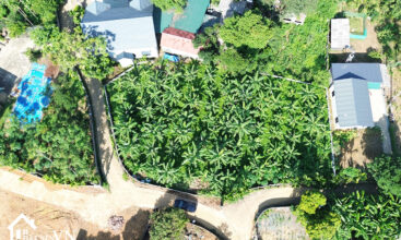 1168 thon Dong Bo Yen Xuan Ha Noi 4