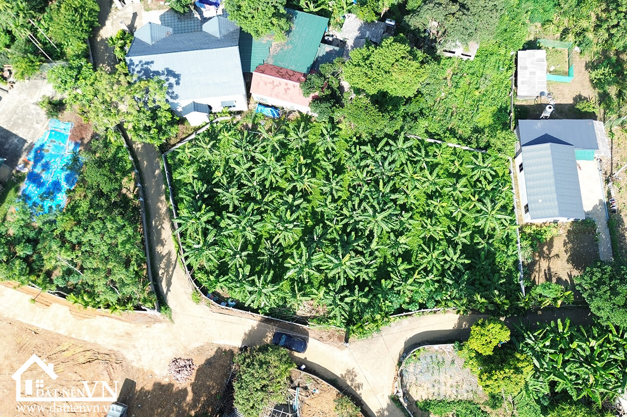 1168 thôn Đồng Bổ Yên Xuân Hà Nội (4) 1168 thon Dong Bo Yen Xuan Ha Noi 4