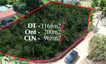 1168 thon Dong Bo Yen Xuan Ha Noi 5