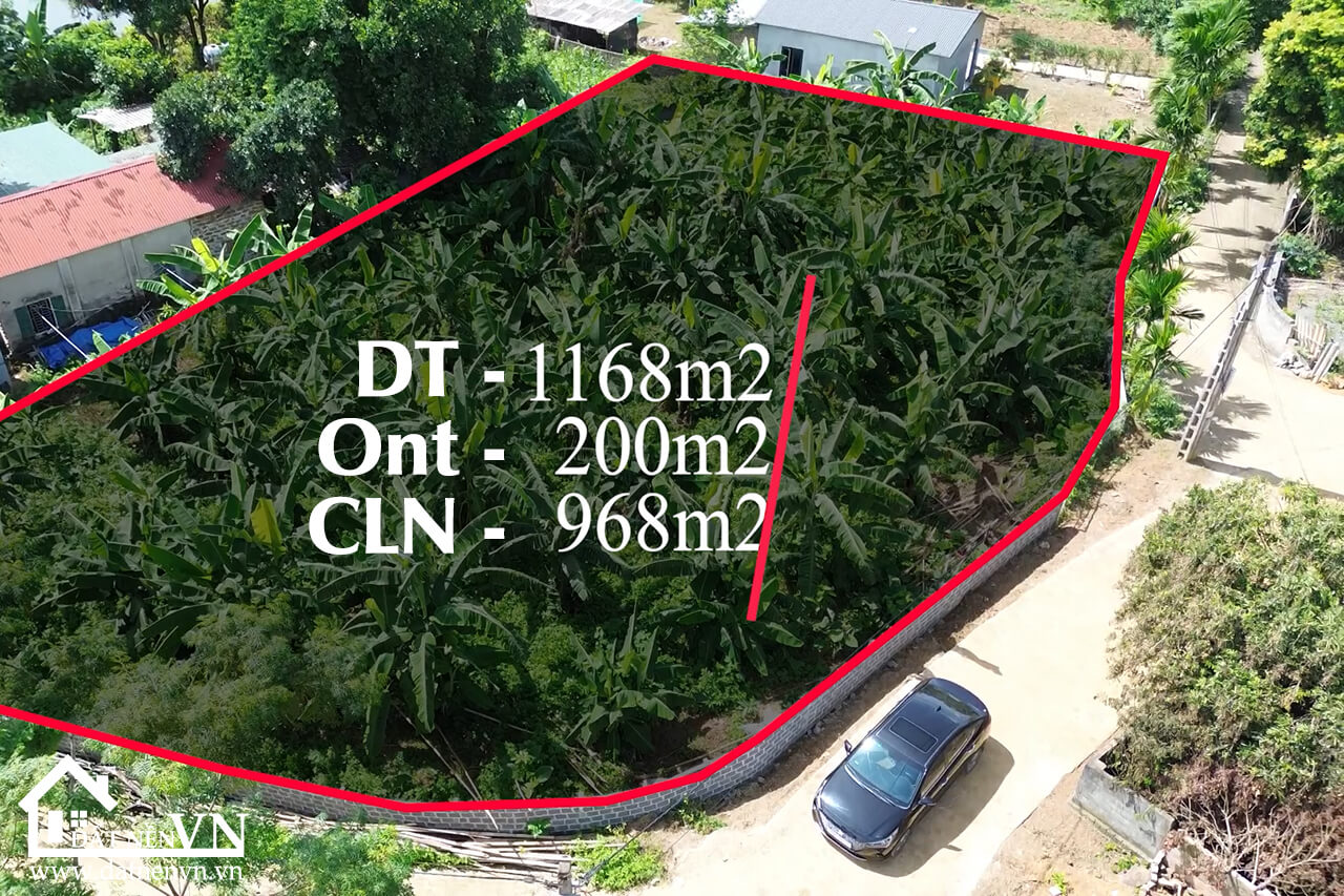 1168 thôn Đồng Bổ Yên Xuân Hà Nội (5) 1168 thon Dong Bo Yen Xuan Ha Noi 5