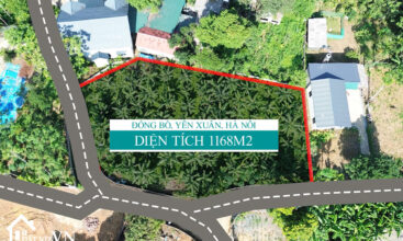 1168 thon Dong Bo Yen Xuan Ha Noi 6