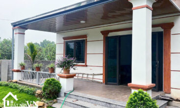 290 Thang Dau Phu Cat 2