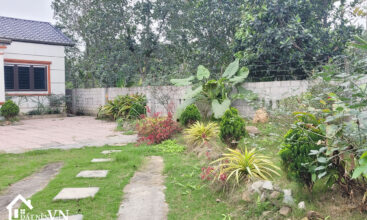 290 Thang Dau Phu Cat 3