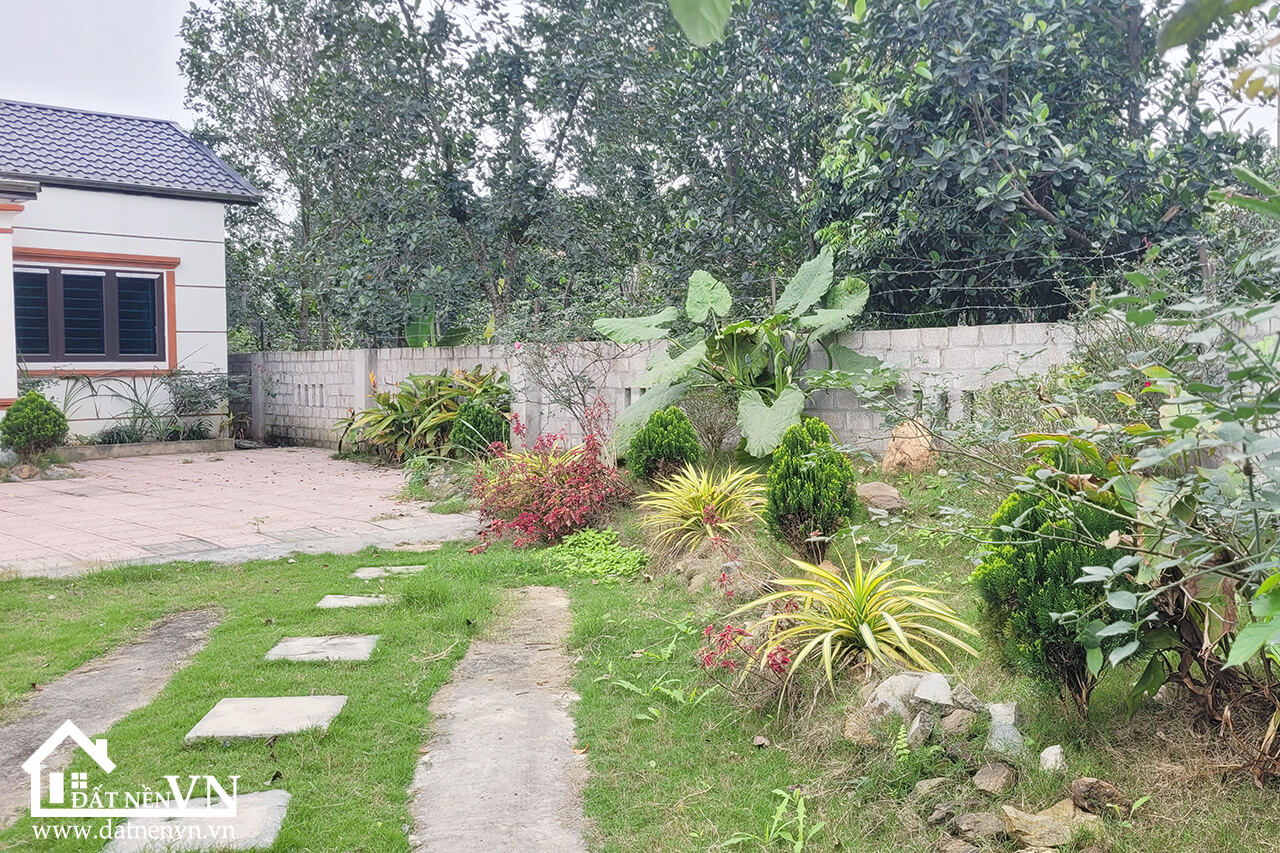 290 Thang Dau Phu Cat (3) 290 Thang Dau Phu Cat 3