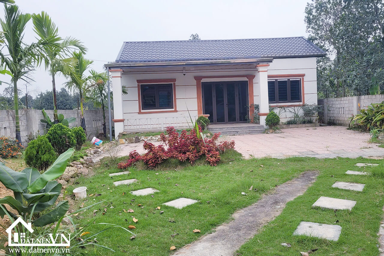 290 Thang Dau Phu Cat (4) 290 Thang Dau Phu Cat 4