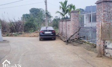 290 Thang Dau Phu Cat 5