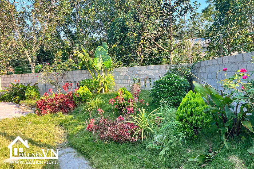 290 Thang Dau Phu Cat (6) 290 Thang Dau Phu Cat 6