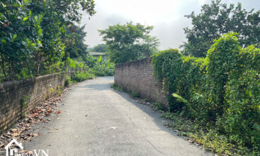 75m2 Thon Mieu Tien Xuan 1