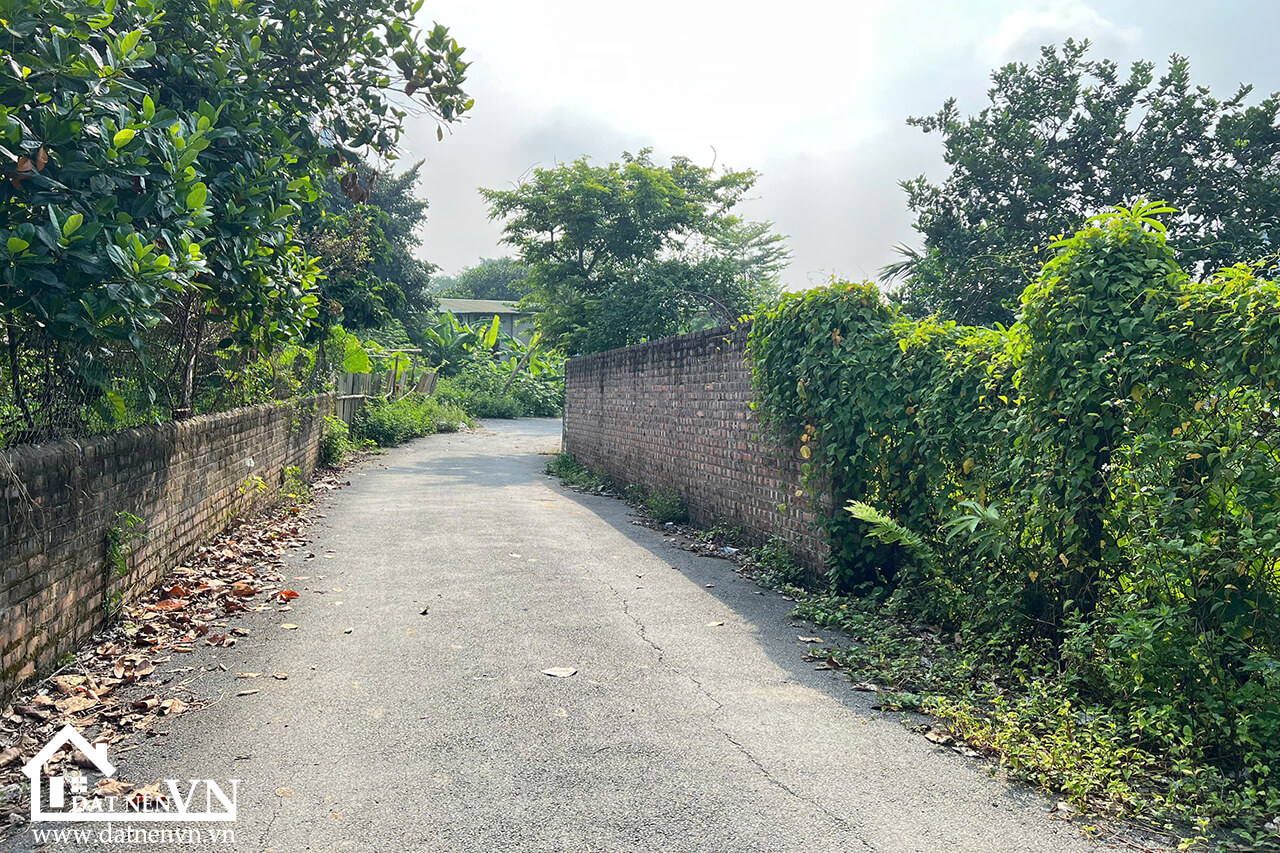 75m2 Thon Mieu Tien Xuan (1) 75m2 Thon Mieu Tien Xuan 1