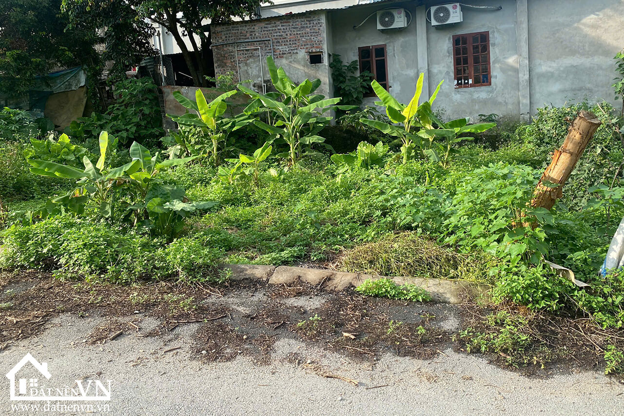 75m2 Thon Mieu Tien Xuan (3) 75m2 Thon Mieu Tien Xuan 3