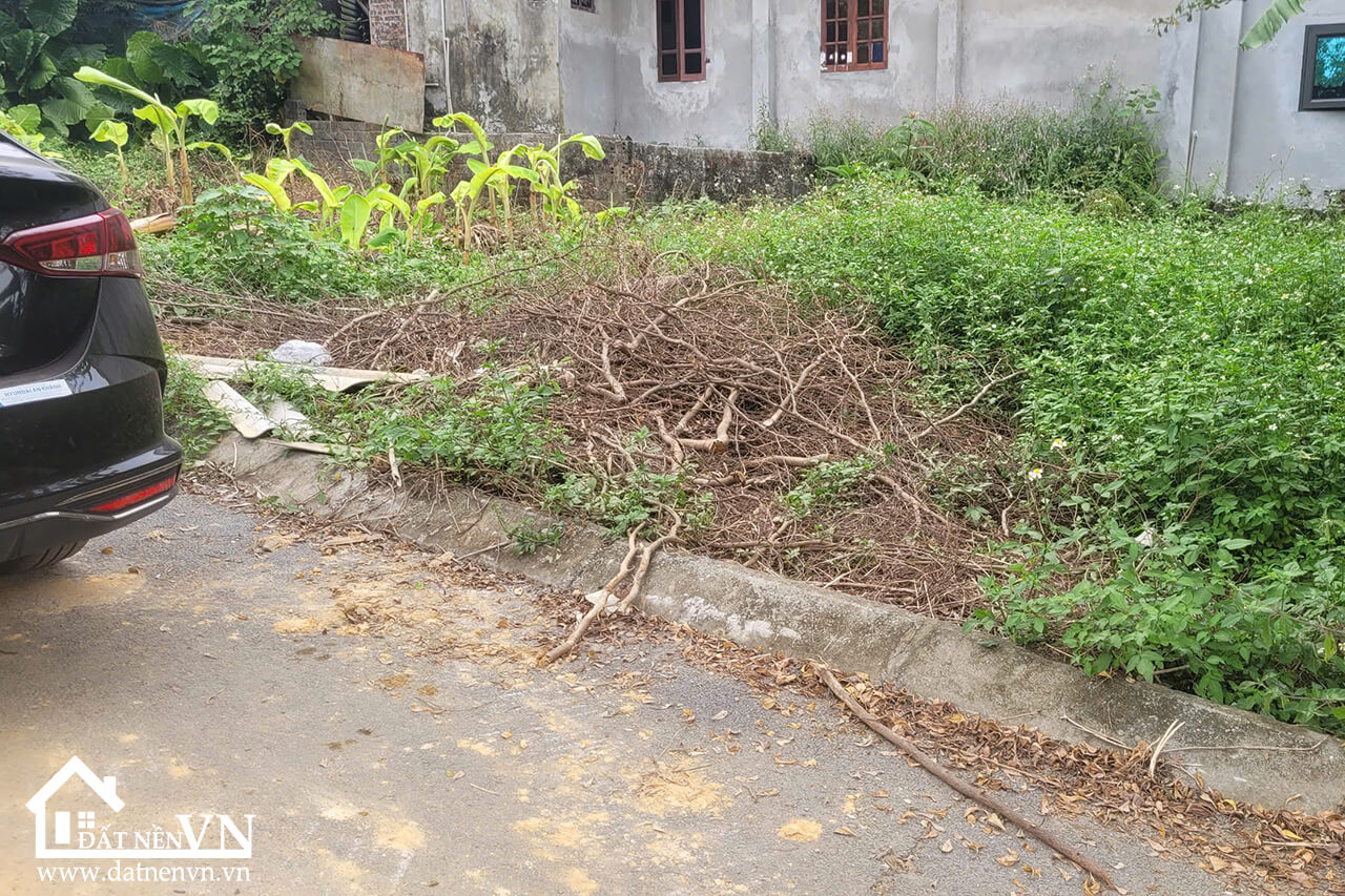 75m2 Thon Mieu Tien Xuan (7) 75m2 Thon Mieu Tien Xuan 7