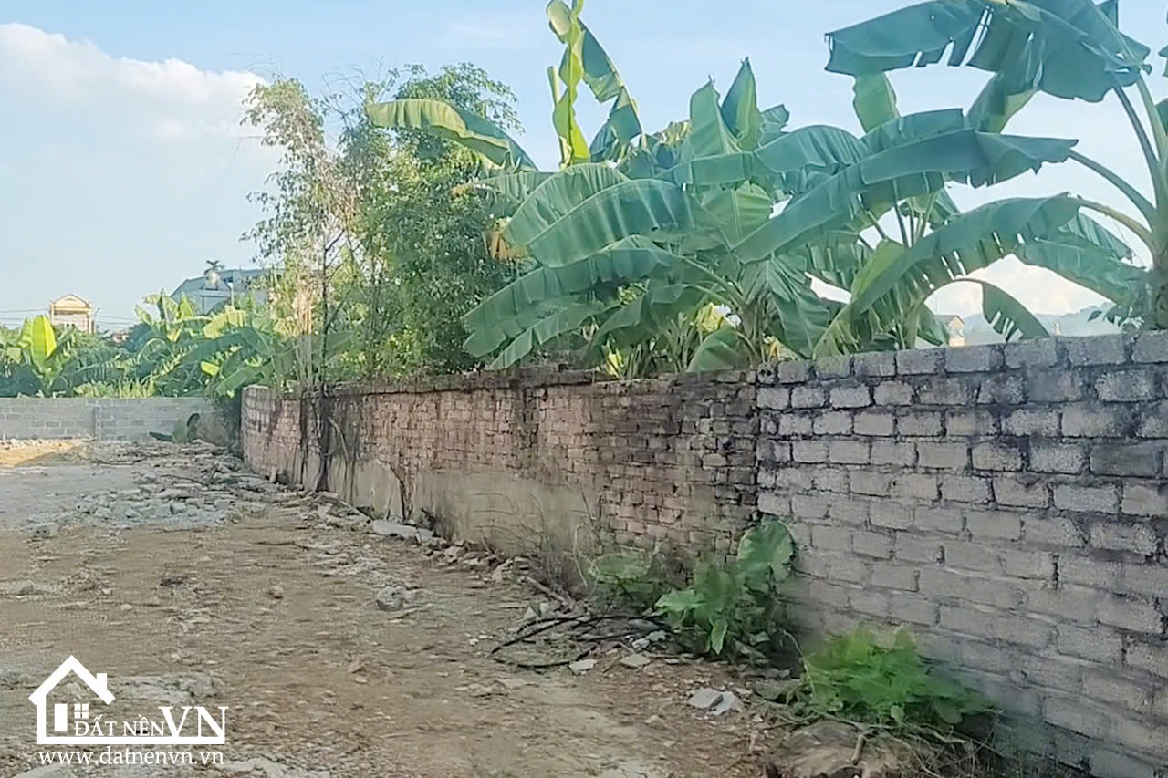 150m2 Full Thổ Cư Da Cuong Van Hoa Ba Vi (3) 150m2 Full Tho Cu Da Cuong Van Hoa Ba Vi 3