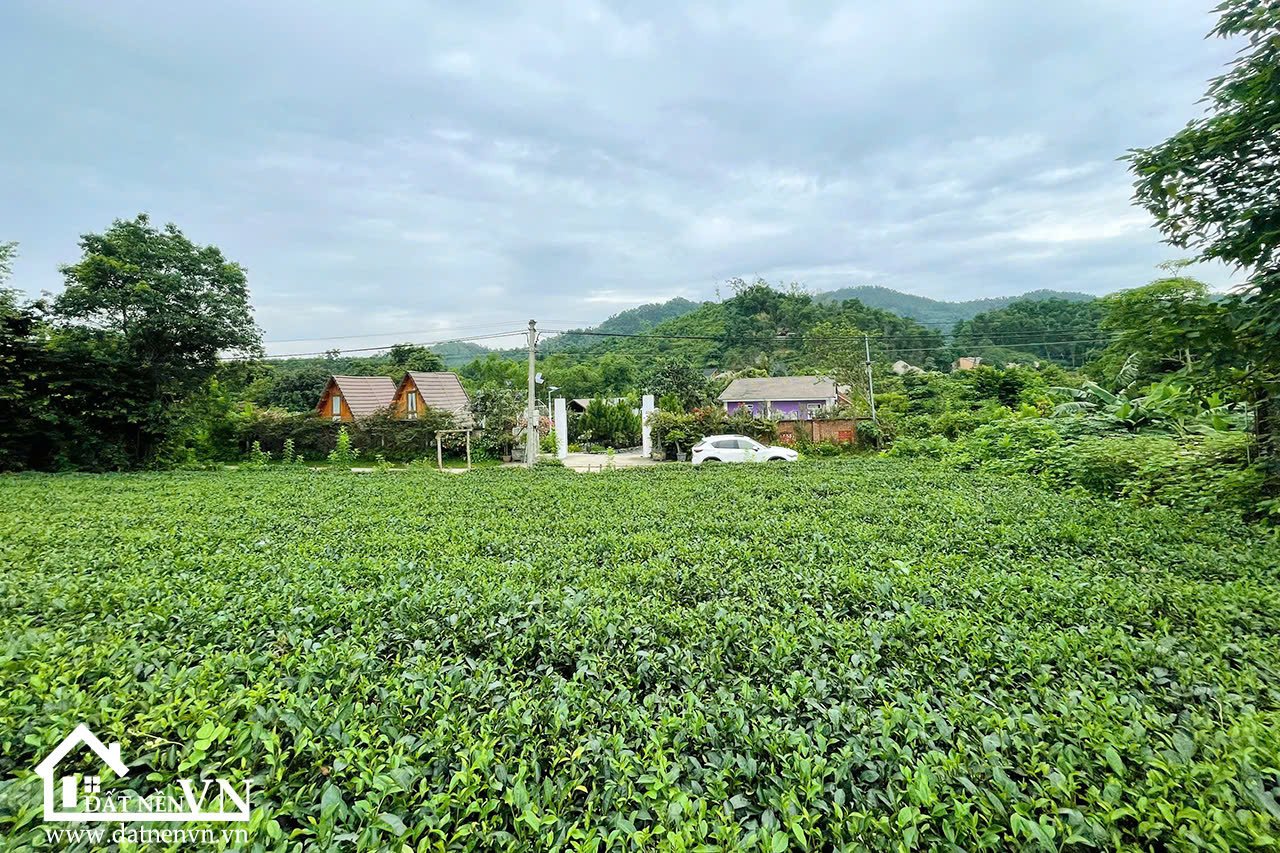 350m2 thôn chóng yên bài ba vì (1) 350m2 thon chong yen bai ba vi 1