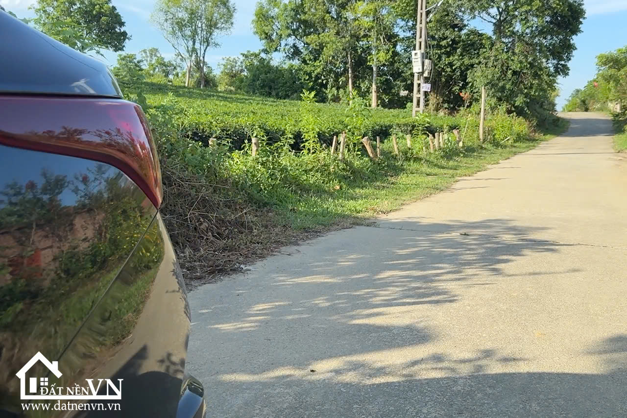 350m2 thôn chóng yên bài ba vì (2) 350m2 thon chong yen bai ba vi 2