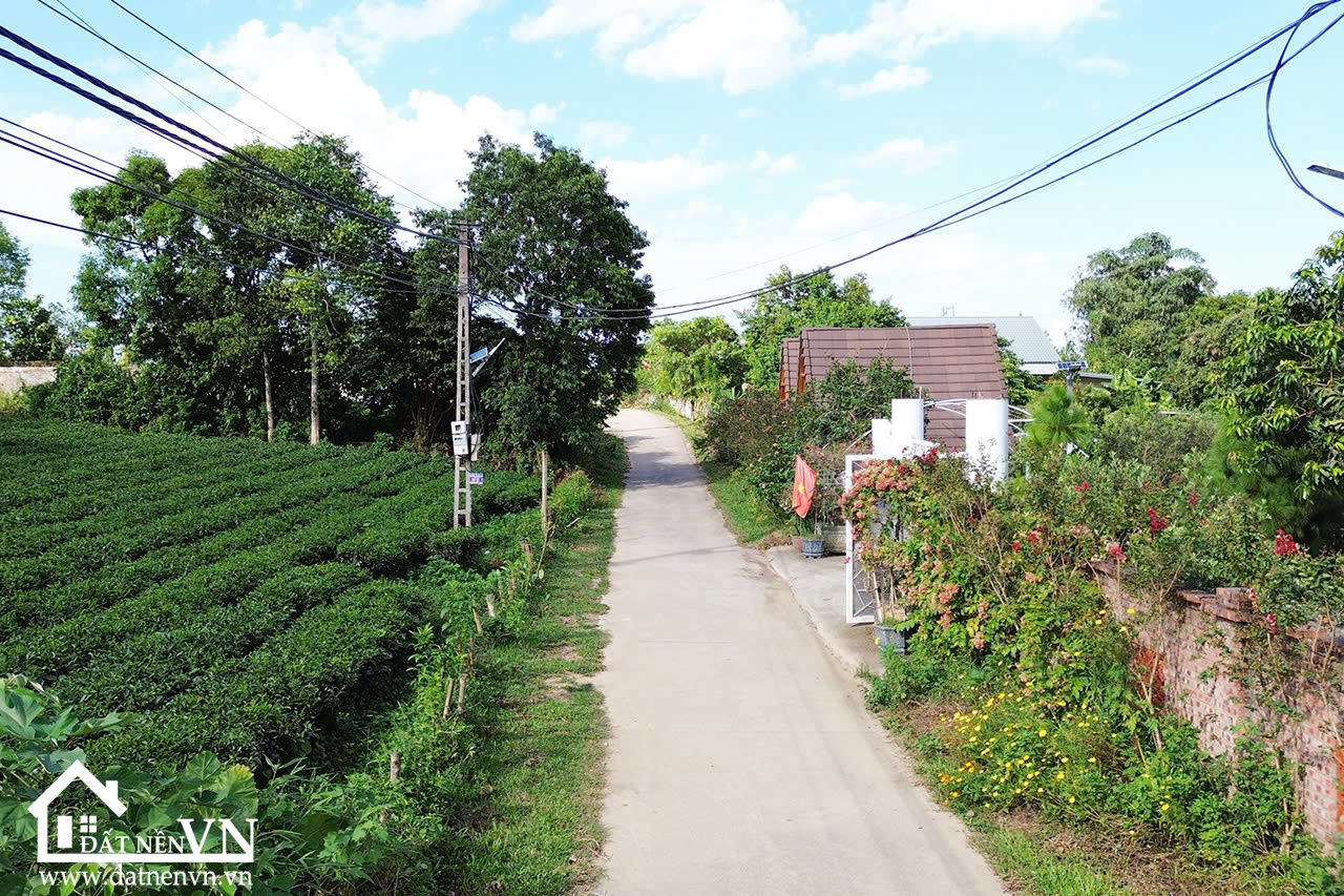 350m2 thôn chóng yên bài ba vì (3) 350m2 thon chong yen bai ba vi 3