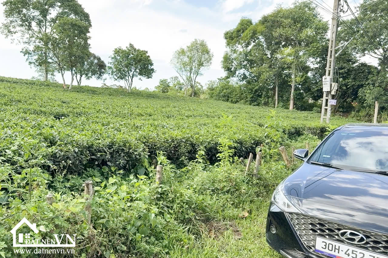 350m2 thôn chóng yên bài ba vì (5) 350m2 thon chong yen bai ba vi 5