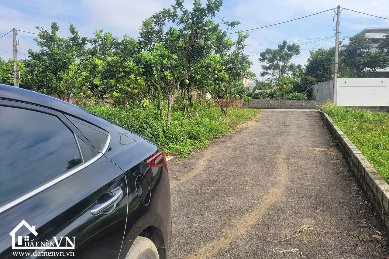 Đất Phú Cát Quốc Oai Full Thổ Cư (1) Dat Phu Cat Quoc Oai Full Tho Cu 1
