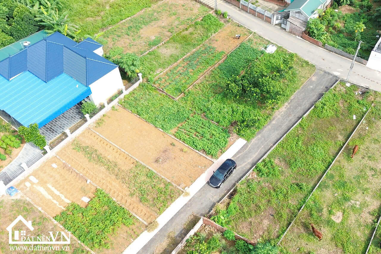 Đất Phú Cát Quốc Oai Full Thổ Cư (4) Dat Phu Cat Quoc Oai Full Tho Cu 4