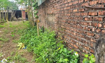 125m2 thon Canh Chu Binh Yen 1