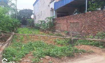 125m2 thon Canh Chu Binh Yen 5