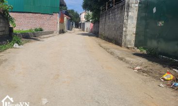 330m2 Bach Thach Hoa Thach Quoc Oai 1