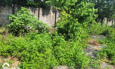 330m2 Bach Thach Hoa Thach Quoc Oai 2