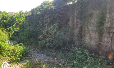 330m2 Bach Thach Hoa Thach Quoc Oai 3