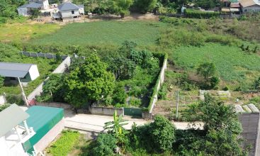 330m2 Bach Thach Hoa Thach Quoc Oai 6