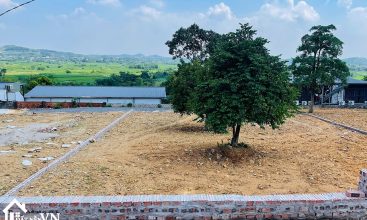 871m2 thon Mit Mai xa Yen Bai huyen Ba Vi 4