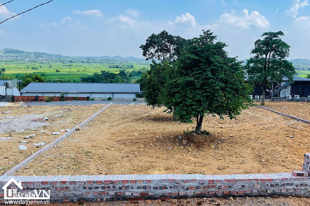 871m2 thon Mít Mái xã Yên Bài huyện Ba Vì (4) 871m2 thon Mit Mai xa Yen Bai huyen Ba Vi 4