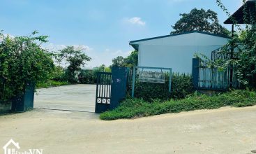 871m2 thon Mit Mai xa Yen Bai huyen Ba Vi 6