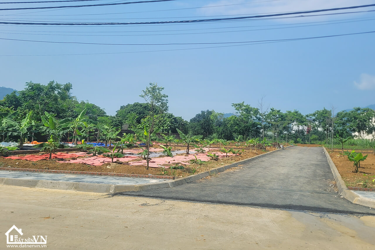 Quỹ đất 18 lô full thổ cư tại thôn bài xã yên Bài huyện Ba Vì (9) Quy dat 18 lo full tho cu tai thon bai xa yen Bai huyen Ba Vi 9
