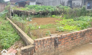 180m2 full tho cu thon tam canh xa ha bang ha noi 3