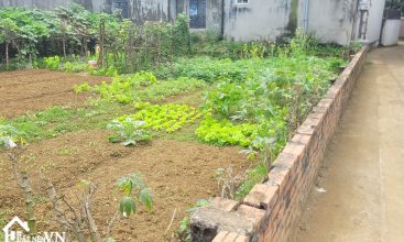 180m2 full tho cu thon tam canh xa ha bang ha noi 4