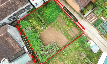 180m2 full tho cu thon tam canh xa ha bang ha noi 6