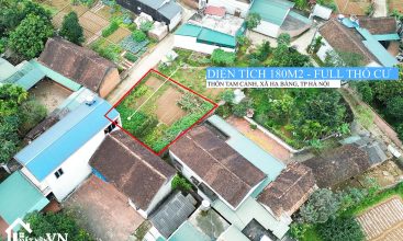 Bán Đất Xã Hạ Bằng Thạch Thất 180m² Full Thổ Cư – Mặt Tiền Rộng, Nở Hậu, Đường Bê Tông Ô Tô Vào Đất