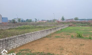 300m2 TDC Binh Yen xa Ha Bang Thach That 3