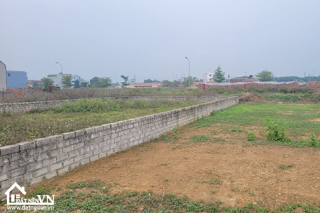 300m2 TDC Bình Yên xã Hạ Bằng Thạch Thất (3) 300m2 TDC Binh Yen xa Ha Bang Thach That 3