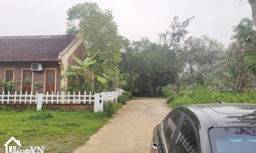 425m2 Full tho cu thon Muoi Yen Bai Ba Vi 3