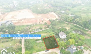 425m2 Full tho cu thon Muoi Yen Bai Ba Vi 8