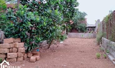 115m2 tan xa thach that 2