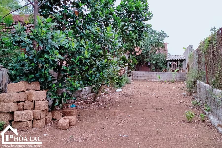 115m2-tan-xa-thach-that (2) 115m2 tan xa thach that 2