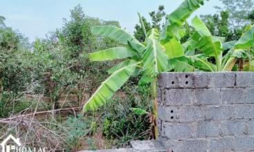 Đất Nền Tân Xã - 255m2, 100% đất ở, giá đầu tư