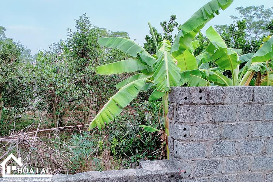 255m2-thon7-xa-tan-xa-thach-that (1) 255m2 thon7 xa tan xa thach that 1